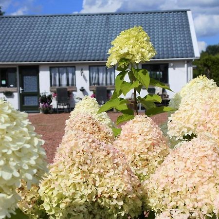 Sfeervol Appartement Het Knooppunt Nuis Esterno foto