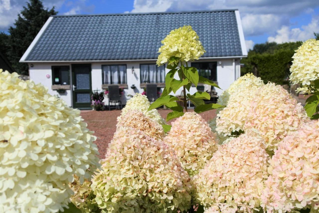 Sfeervol Appartement Het Knooppunt Nuis Esterno foto